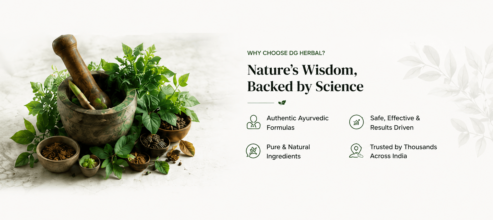 DG Herbal Ayurvedic brand showcase featuring herbal ingredients, traditional mortar and pestle, and key wellness brand benefits.