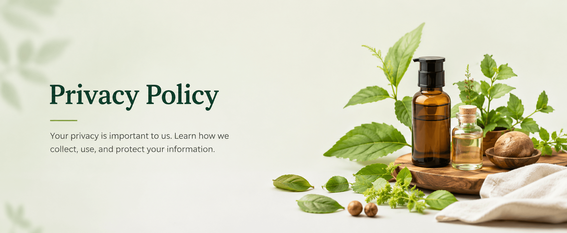 DG Herbal privacy policy banner featuring herbal oil bottles, green leaves, and natural wellness elements on a clean background.