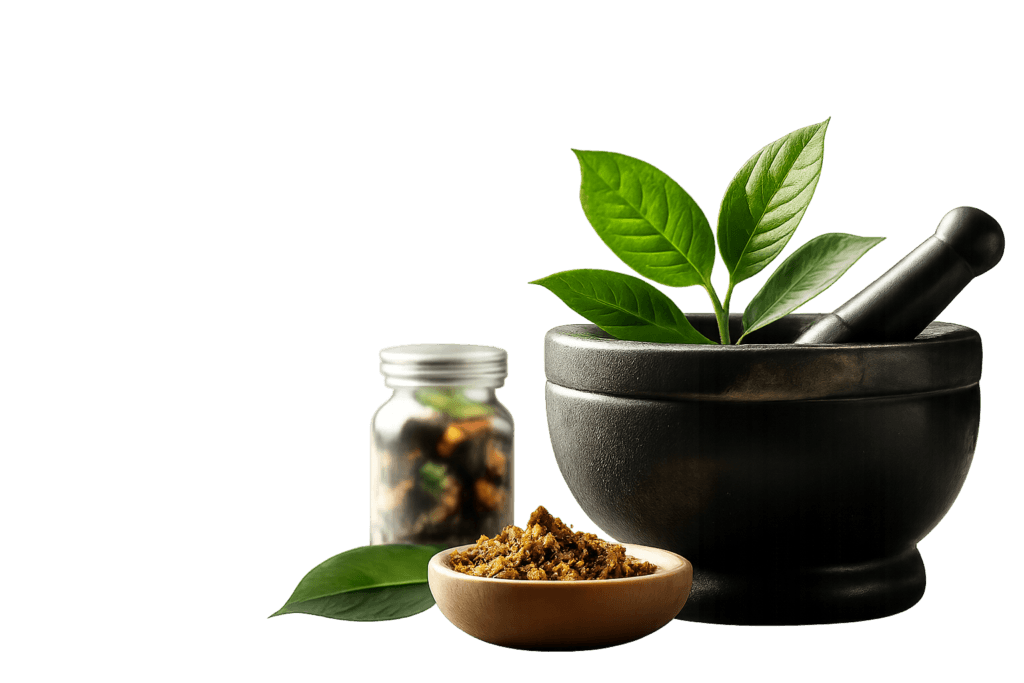 Traditional Ayurvedic mortar and pestle with fresh green leaves, herbal powder, and natural ingredients on a transparent background.