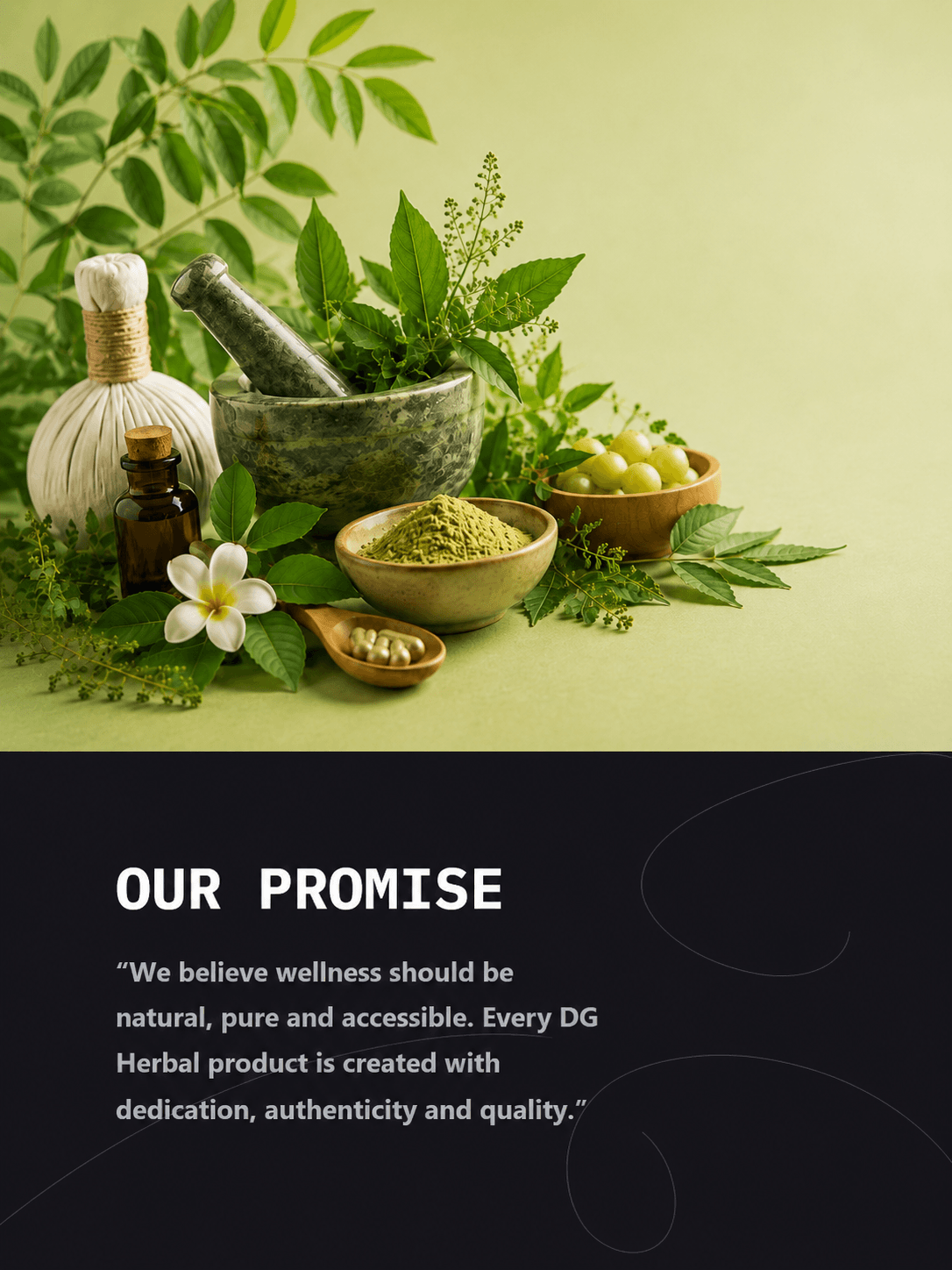 DG Herbal promise banner featuring Ayurvedic herbs, wellness ingredients, a mortar and pestle, and a message about natural and authentic wellness.